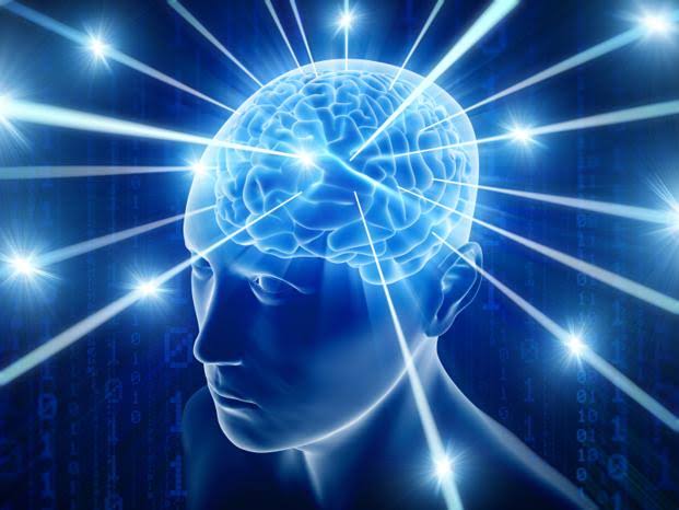 Brain and Behaviour